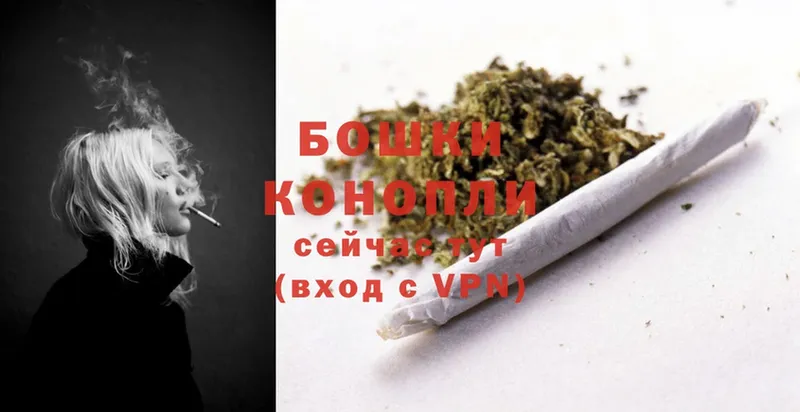 Каннабис SATIVA & INDICA  кракен как войти  Горбатов 